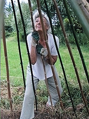 Juillet_2012._Autour_de_Vézelay.._edited