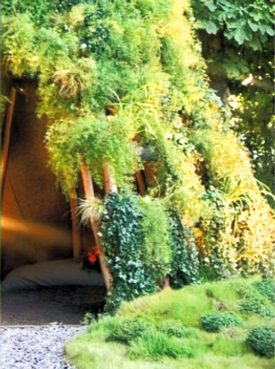 Tipi 3_edited_edited.png