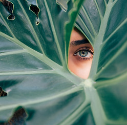 Image de Drew Dizzy Graham